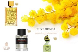 luxe provence perfume