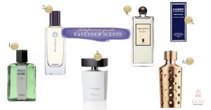 lavender parfum