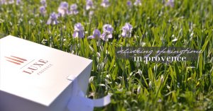 luxe provence box iris perfume