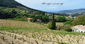 cassis wine tasting and travel guide